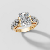 Radiant Reign - Past Projects