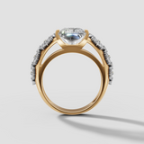 Radiant Reign - Past Projects