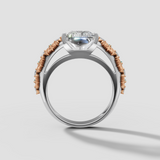 Radiant Reign - Past Projects